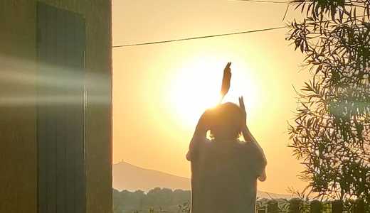 Les Oiseaux sont des Sons – LES OLIVADES