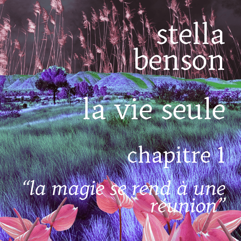 Stella Benson – La vie seule · Chapitre 1